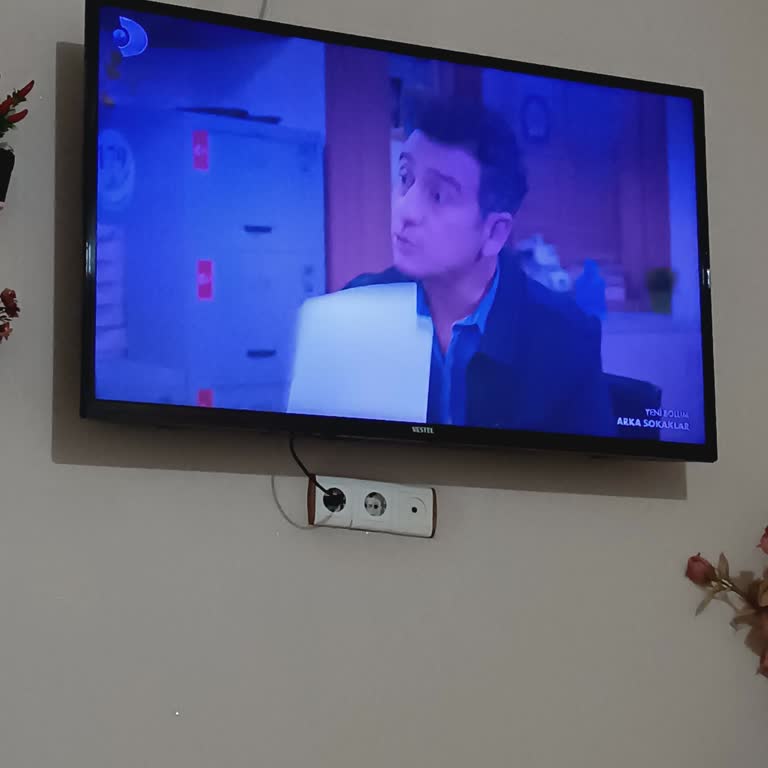 Vestel TV'de Mavi Ekran Sorunu