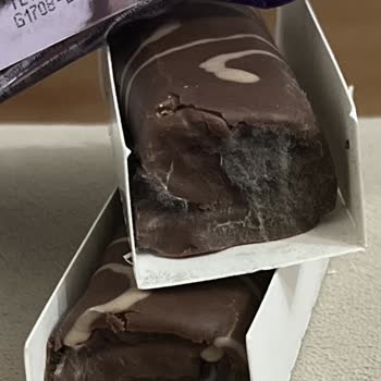 Ülker Alpella'da Küf Skandalı: Çocuklarımız Tehlikede!