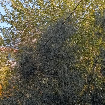 Türk Telekom'un Yetersiz Çekim Gücü Ve İlgisiz Müşteri Hizmetleri