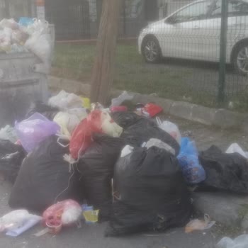 Kartal Belediyesi'nin Çöp Toplama Sorunu