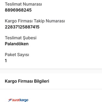 Sürat Kargo Teslimatında Yaşanan Sorunlar Ve Mobbing Tavırları