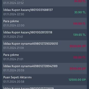 Ödeme Sorunu: Para Hesaba Geçmedi