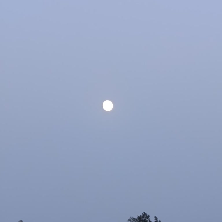 Otobüs Gecikmesi İşimize Engel Oldu