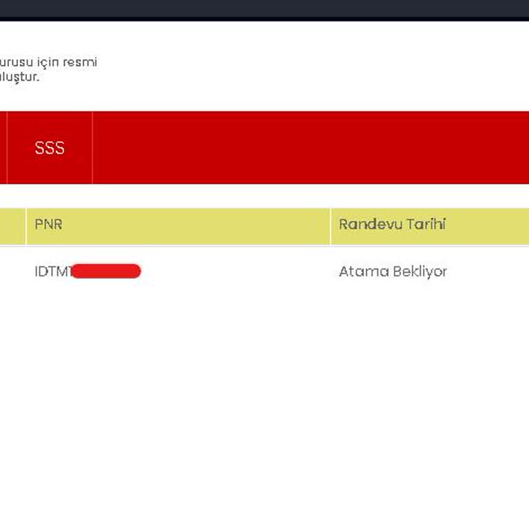 Aile Birleşimi Vizesinde 9 Aydır Bekleyiş