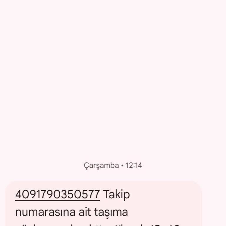 Kargonun Teslim Edilmemesi Ve Bilgilendirme Eksikliği