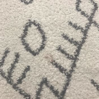 Malatya Ferah Halı Yıkama Şikayeti