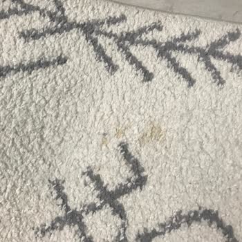 Malatya Ferah Halı Yıkama Şikayeti