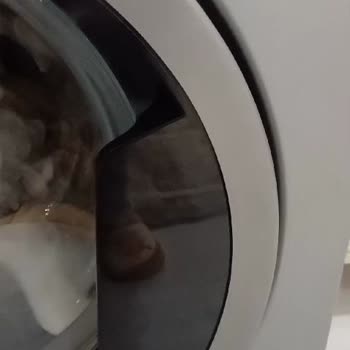 Gürültülü Çamaşır Makinesi Ve Değişim Talebi