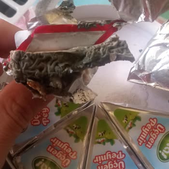 Sütaş Üçgen Peynirde Küf Şoku
