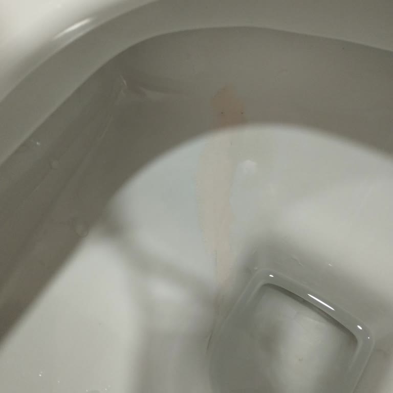 Uzun Süreli Kullanımda Breff Ürününün Klozette Kalıcı Zarar Vermesi