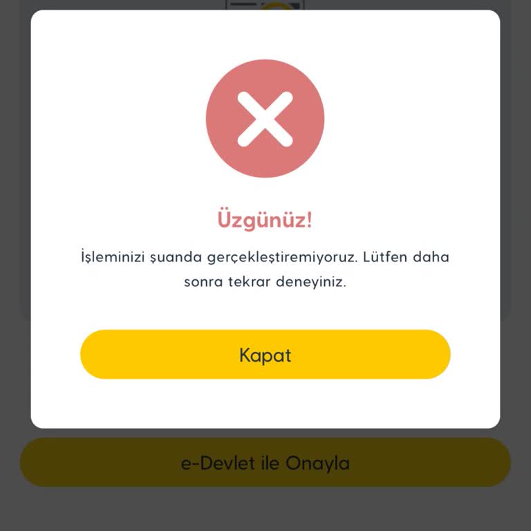 Turkcell Online Kampanya Ve E-Devlet Sorunları