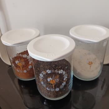 Plastik Kokusu Ürünleri Mahvetti