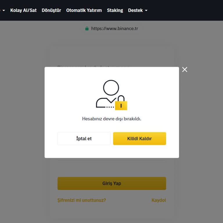 Binance TR Hesap Erişim Sorunu Ve Destek Yanıt Eksikliği