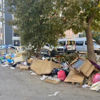 Topselvi Mahallesi'nde Çöp Konteyneri Sorunu