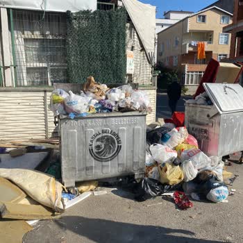 Topselvi Mahallesi'nde Çöp Konteyneri Sorunu