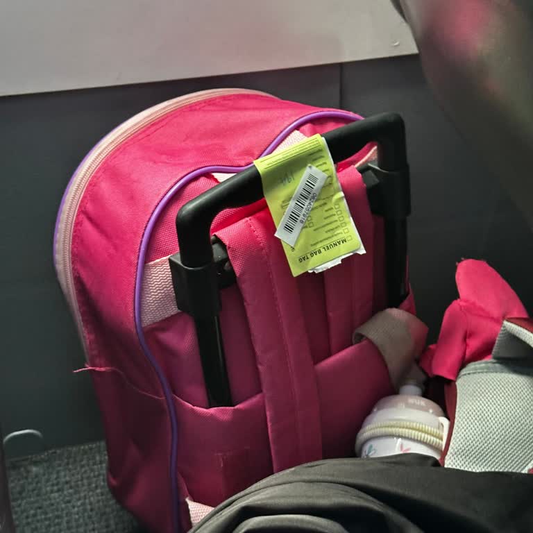 Pegasus İle Yaşanan Bagaj Ücreti Sorunu