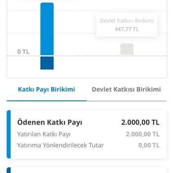 BES'te Beklenmedik Kayıp Ve Para İadesi Sorunu