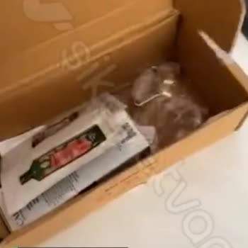 Sürat Kargo Tarafından İletilen Pakette Hasarlı Ürün