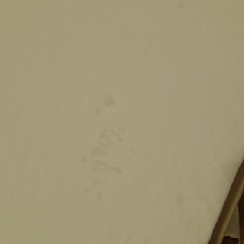 Balkanlar Turunda Hayal Kırıklığı Ve İlgisiz Rehber