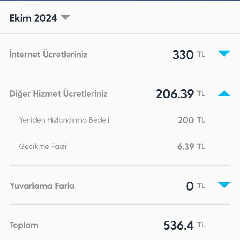 Fatura Gecikmesi Ve Ek Ücretler Hakkında Şikayet
