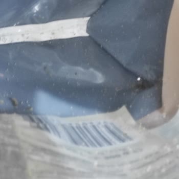 Tam Buğday Makarna İçinde Kurt Şoku!