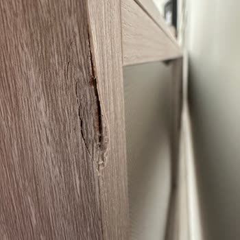 Enza Home Alışverişi: Hayal Kırıklığı Ve İlgisizlik