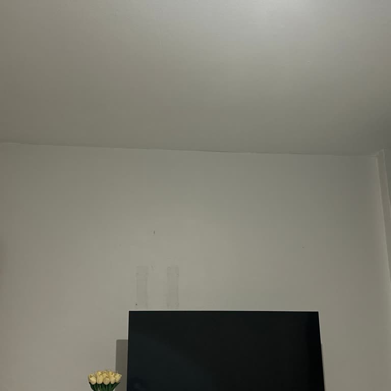 Televizyonumda Görüntü Kaybı Sorunu