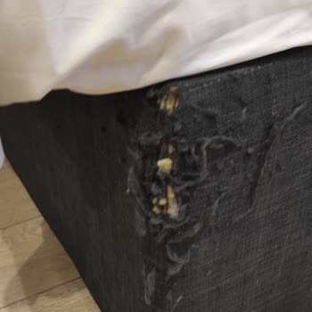 ETS Tur İle Rezervasyon Kabusu: Beklentilerin Altında Kalan Otel Deneyimi