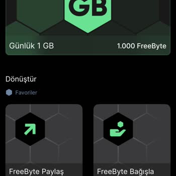 Hesabımdaki Freebyte Ve PLY'ler Neden Sıfırlandı?