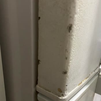Arçelik Buzdolabında Paslanma Ve Soğutma Sorunları