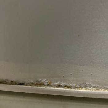 Arçelik Buzdolabında Paslanma Ve Soğutma Sorunları