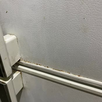 Arçelik Buzdolabında Paslanma Ve Soğutma Sorunları