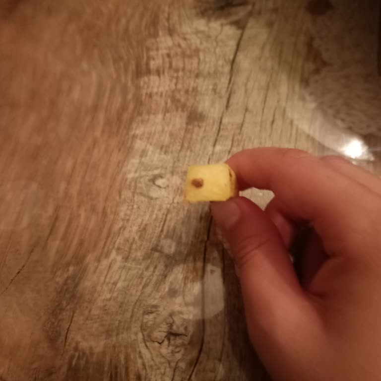 Mutfağım Patates Çürük Ve Kokmuş Patatesler