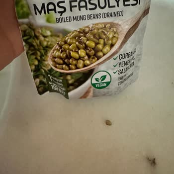 Salatada Sürpriz: Fasulye Yerine Taş!