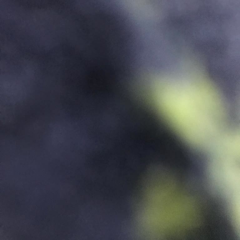 Müşteri Hizmetleri Eksikliği: Vicco Mağazasında İlgisizlik