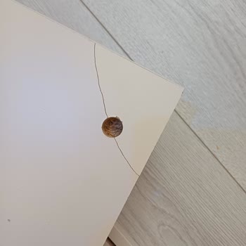 Kırık Parçalarla Gelen Gardırop Kabusu