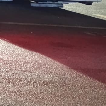 İzmir Seyahat'te Can Güvenliği Ve Üslup Sorunu