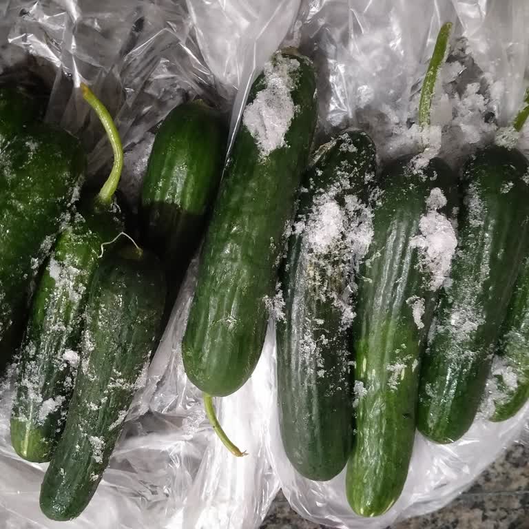 Bosch Buzdolabı Deneyiminde Büyük Hayal Kırıklığı