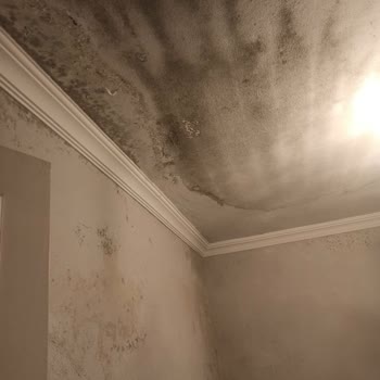 Kullanılmayan Eve Kaçak Elektrik Cezası
