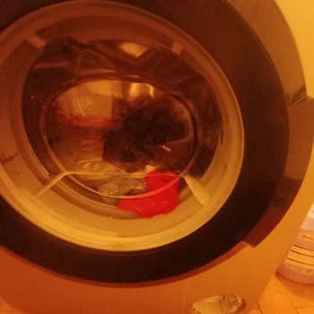 Çamaşır Makinesi Kabusu: Sürekli Arızalar Ve İlgisiz Servis