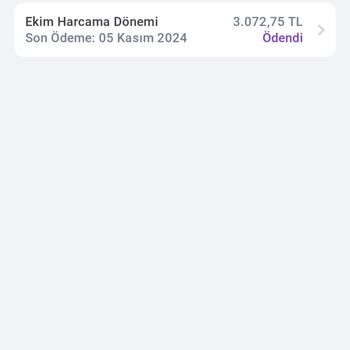 Düzenli Ödemelere Rağmen Limit Sorunu