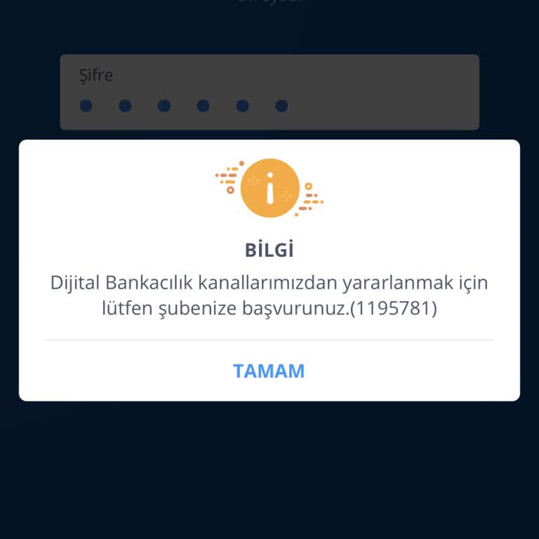 Yurt Dışında Dijital Bankacılık Erişim Sorunu