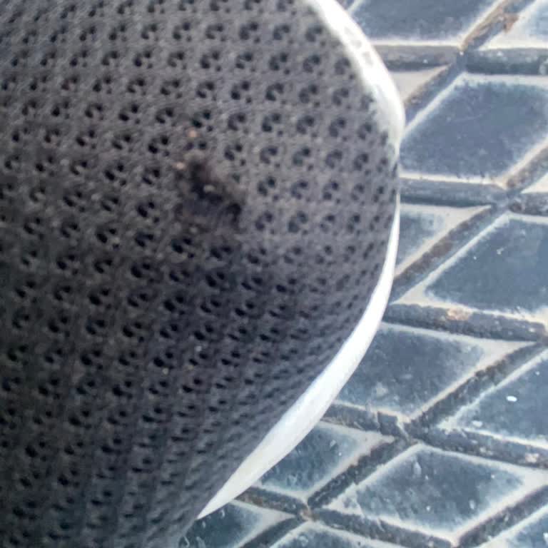 Adidas Ayakkabıdaki File Yırtılması Ve İade Sorunu