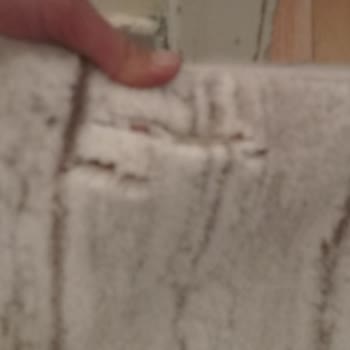 Halım Yırtık Geldi, Mağduriyetimi Giderin!