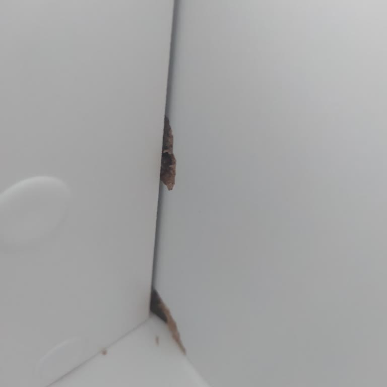 Çocuk Odası Mobilyasında Hayal Kırıklığı Ve Kusurlar