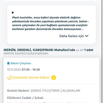 Sürekli Elektrik Kesintileri Ve Düşük Voltaj Sorunu