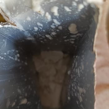 Birşah Süt'te Beklenmedik Parçacık Sorunu