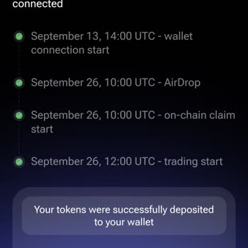 Hamster Kombat'ları Cüzdanıma Yüklenmedi