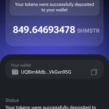 Hamster Kombat'ları Cüzdanıma Yüklenmedi