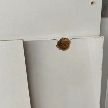 Ucuz Mobilya, Büyük Hayal Kırıklığı